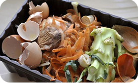 Kitchen waste