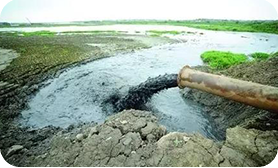 Municipal sludge