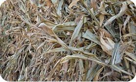 Agricultural and forestry waste